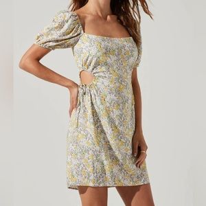 Astr The Label Talula Floral Side Cutout Mini Dress (Size S)